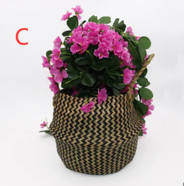 Handcrafted Woven Seagrass Basket and Planter