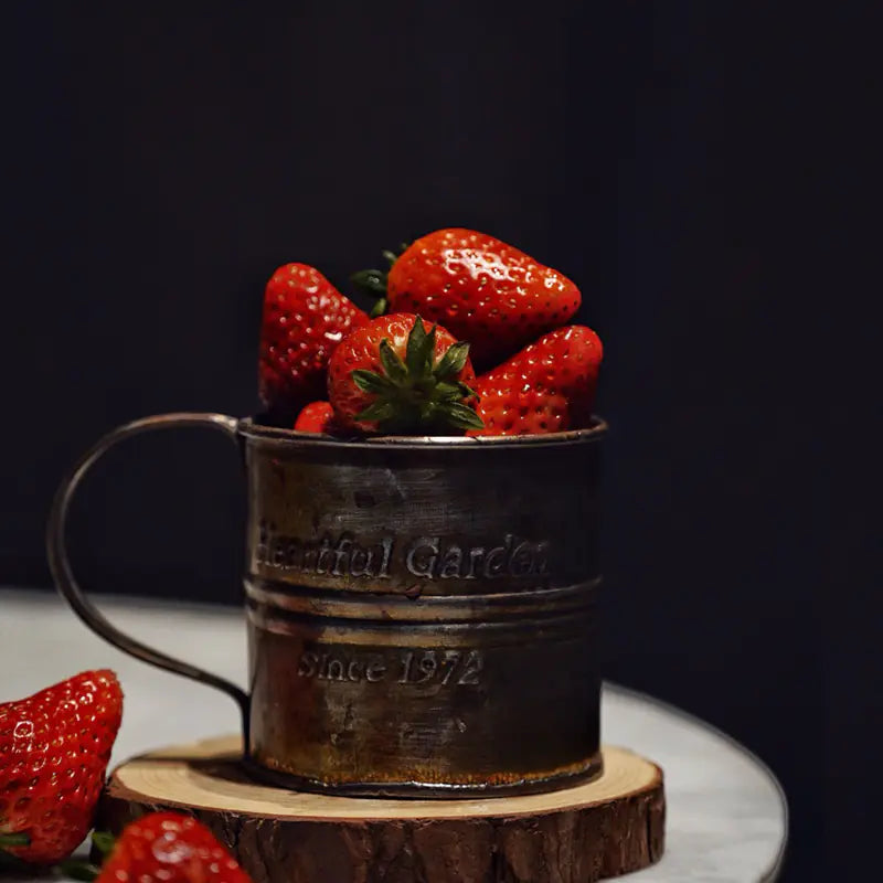 Vintage English Print Iron Flower Bucket with Handle